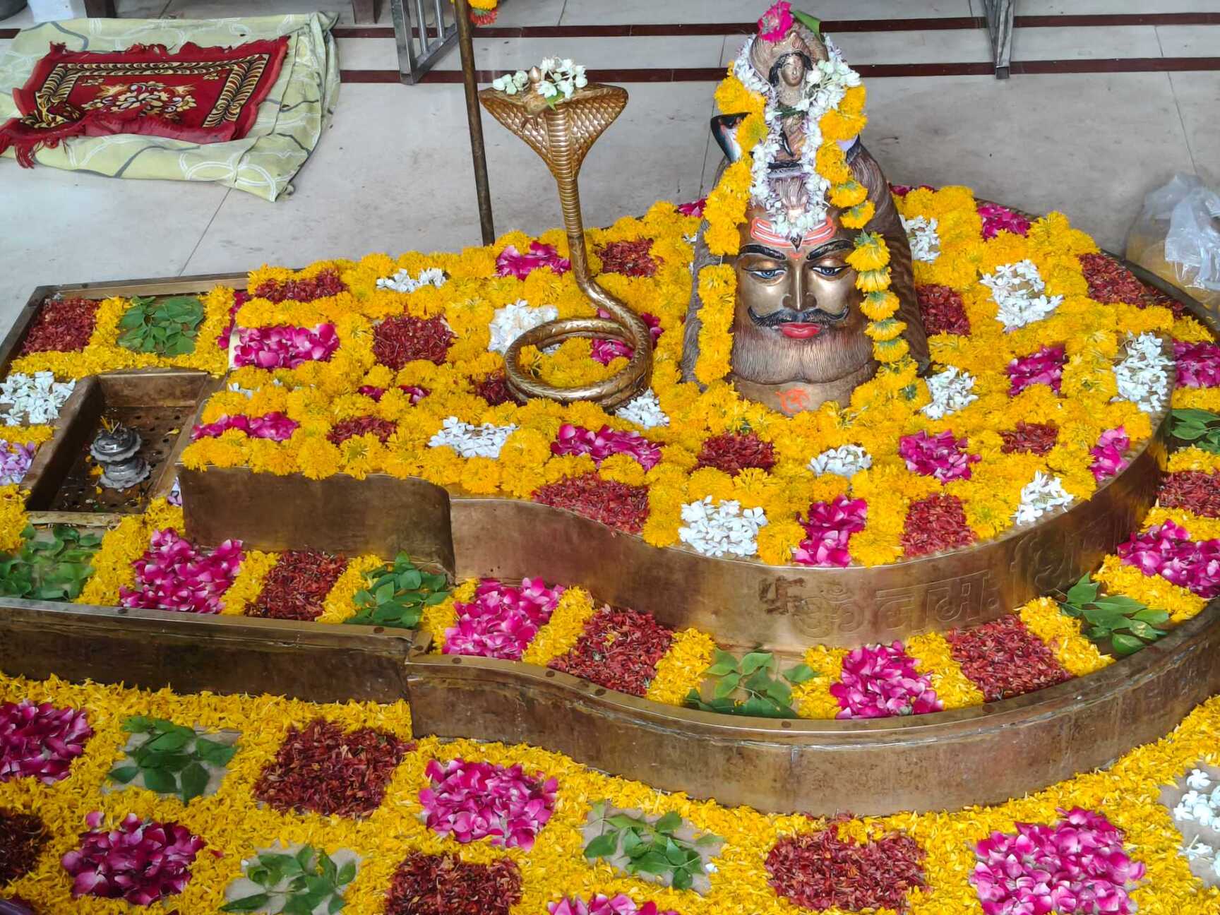 blogs